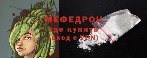 индика Горняк
