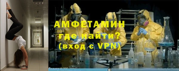 индика Горняк