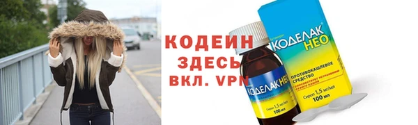 индика Горняк