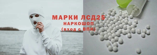 индика Горняк