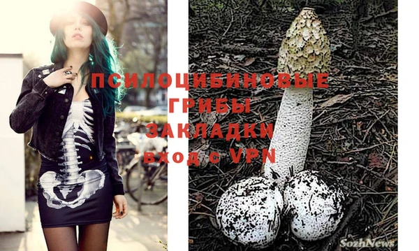 индика Горняк