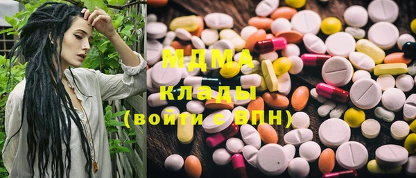индика Горняк