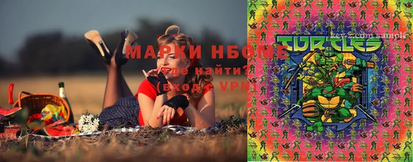 индика Горняк