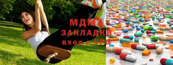 индика Горняк