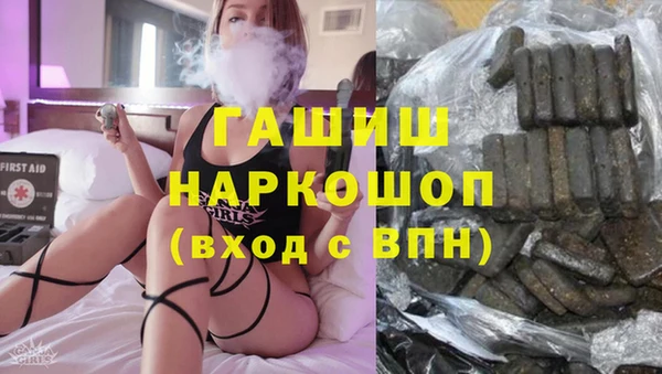 индика Горняк