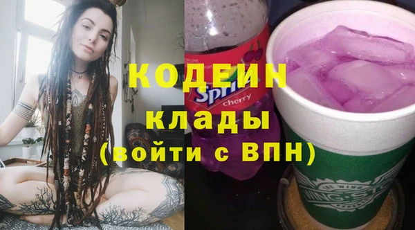 индика Горняк