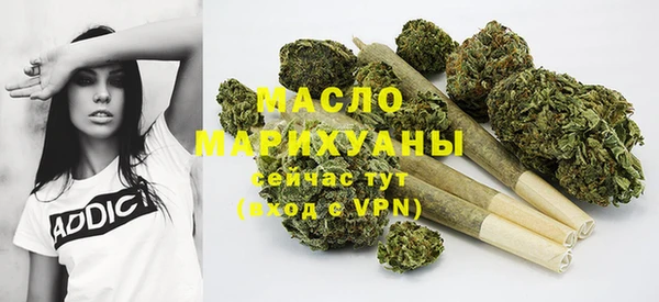 индика Горняк