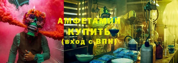 индика Горняк