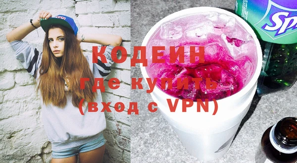 индика Горняк