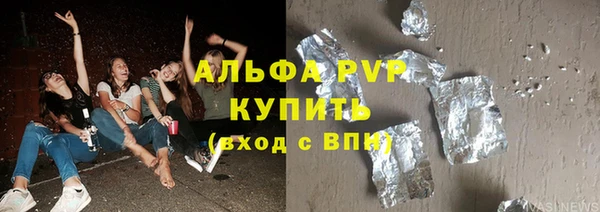 индика Горняк