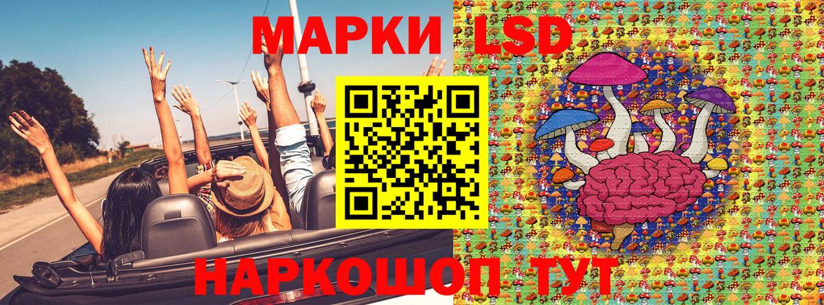 Марки N-bome 1500мкг  Вход с VPN  Губаха 
