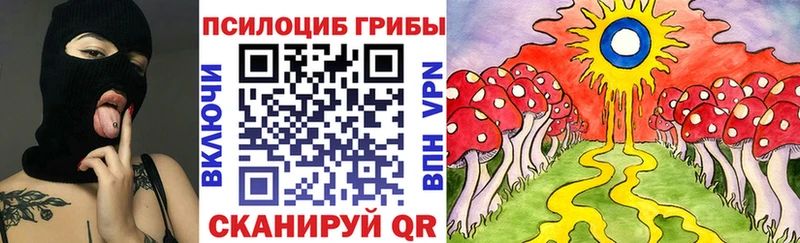 Псилоцибиновые грибы Psilocybine cubensis  цена наркотик  Губаха 