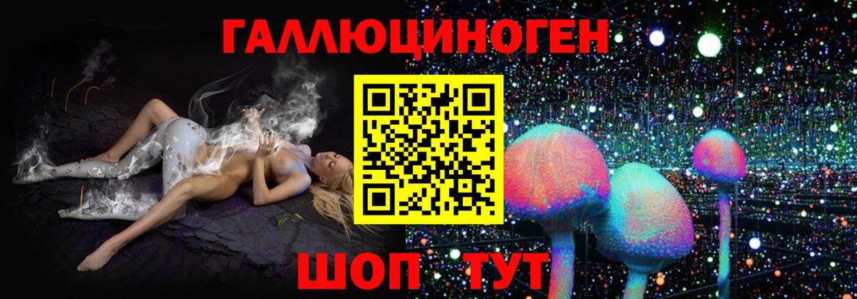 Галлюциногенные грибы Magic Shrooms  Вход с VPN  Губаха 